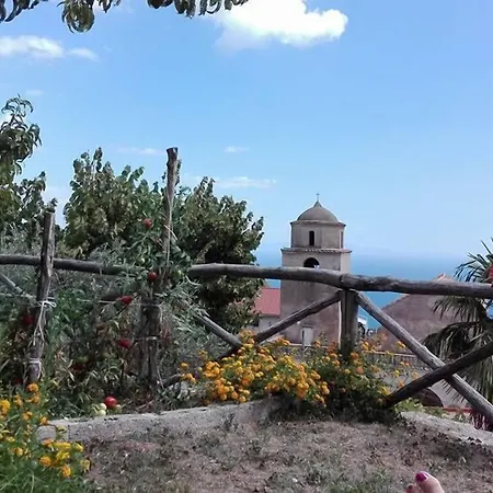 Отель типа 